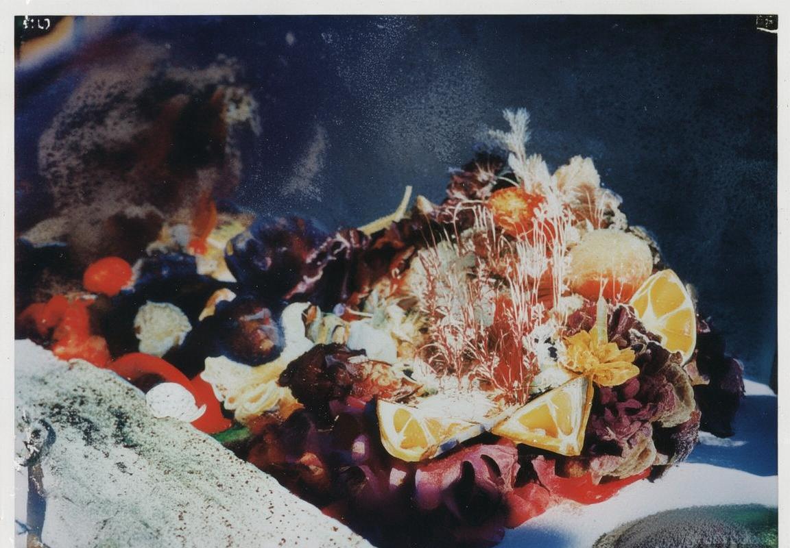 巴西葡萄牙足球对决：激情岁月与传奇篇章回顾